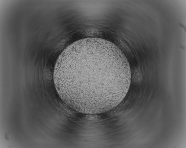 X0000091330569200708311439