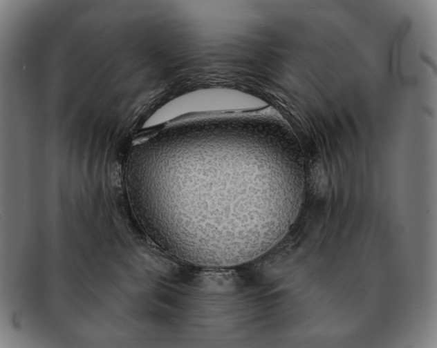X0000091330571200708311439