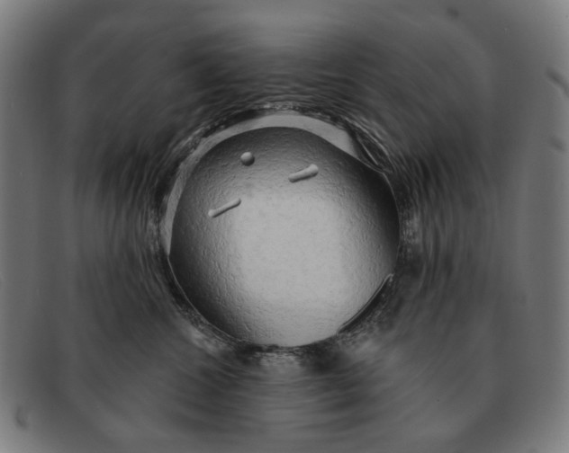 X0000091330572200708311439