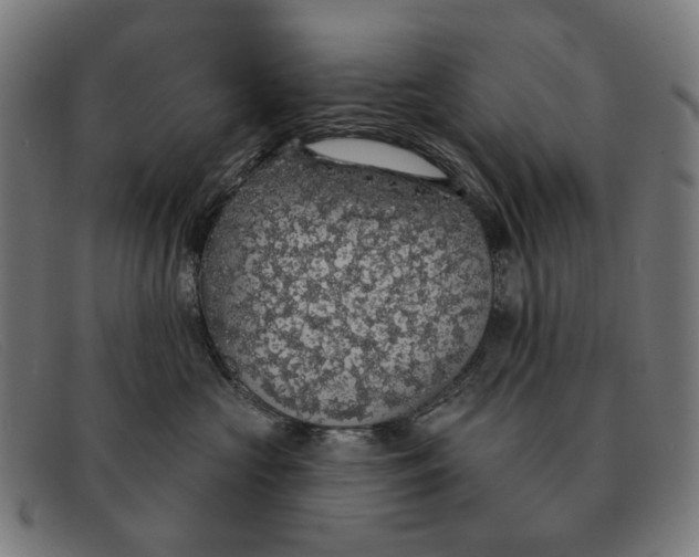 X0000091330573200708311439