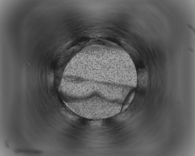 X0000091330574200708311439