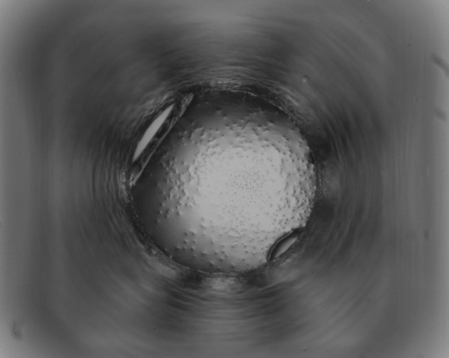 X0000091330575200708311439