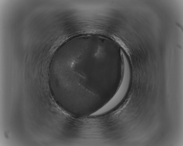 X0000091330577200708311438