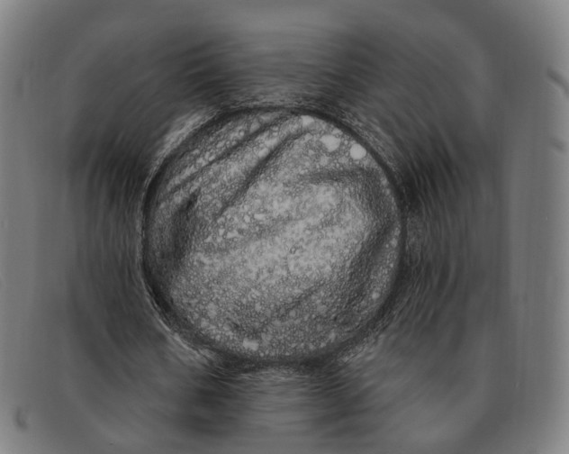 X0000091330578200708311438
