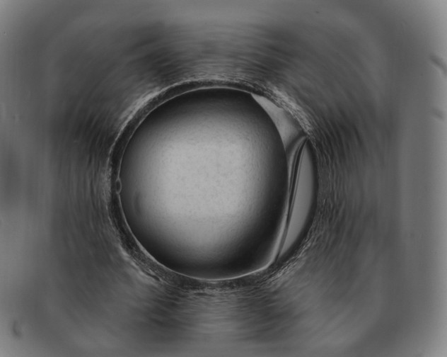 X0000091330580200708311438