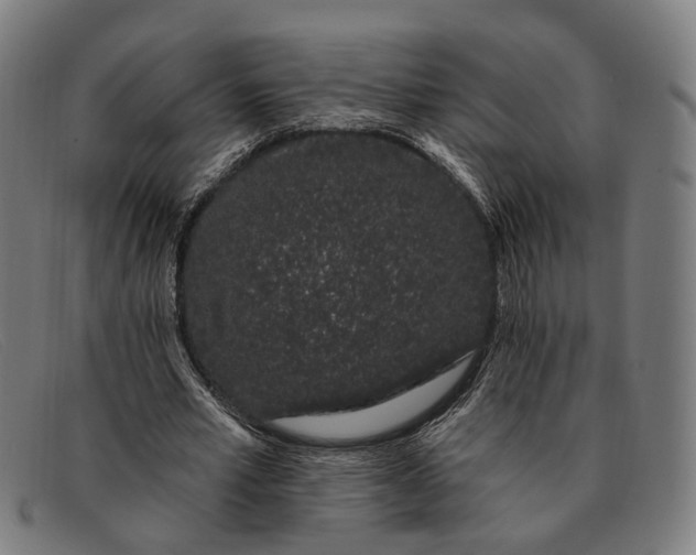 X0000091330581200708311438