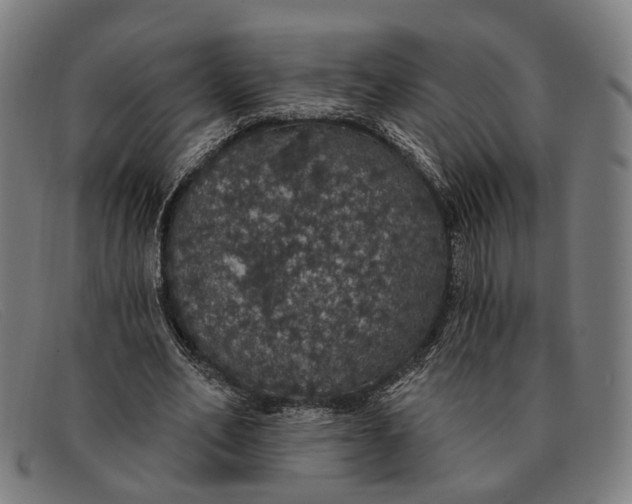 X0000091330582200708311438