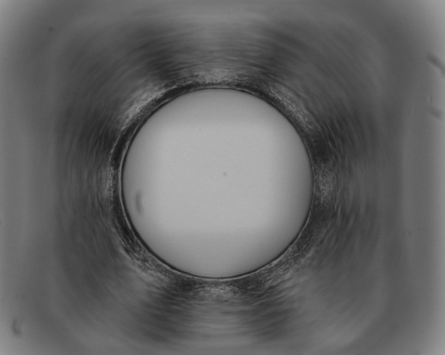 X0000091330583200708311438