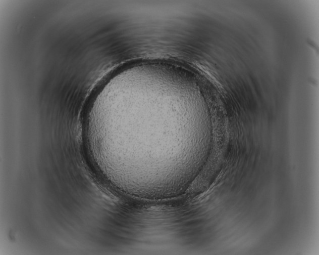 X0000091330584200708311438