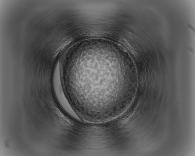 X0000091330585200708311438
