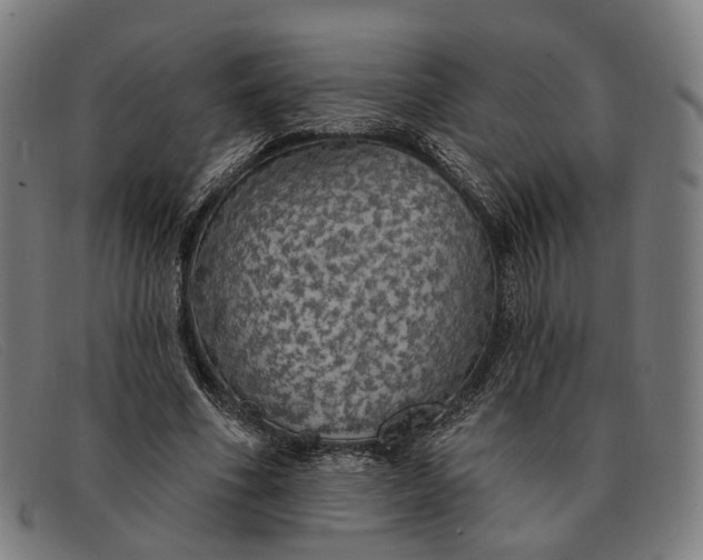 X0000091330586200708311438