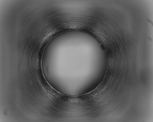 X0000091330587200708311438