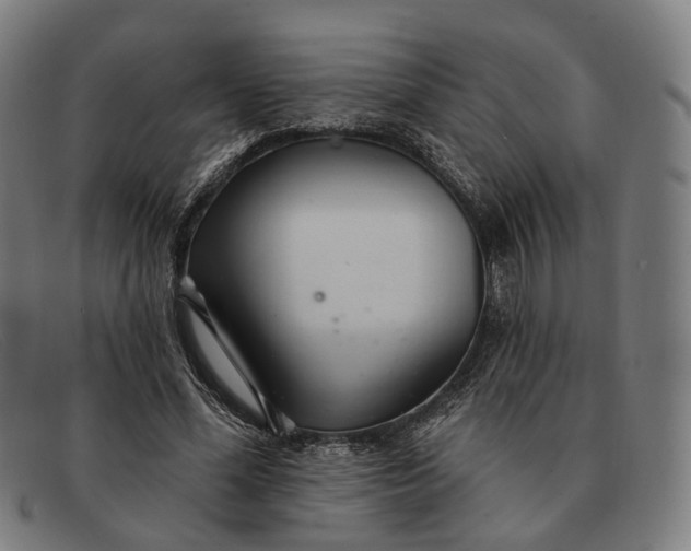 X0000091330588200708311438