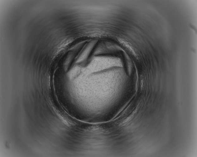 X0000091330589200708311438