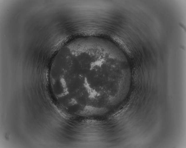 X0000091330590200708311438