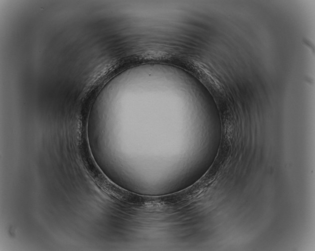 X0000091330591200708311438