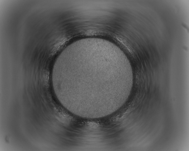 X0000091330592200708311438