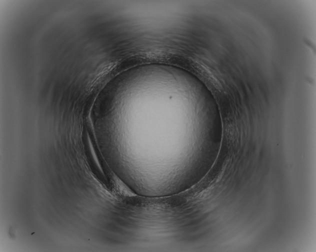 X0000091330593200708311438