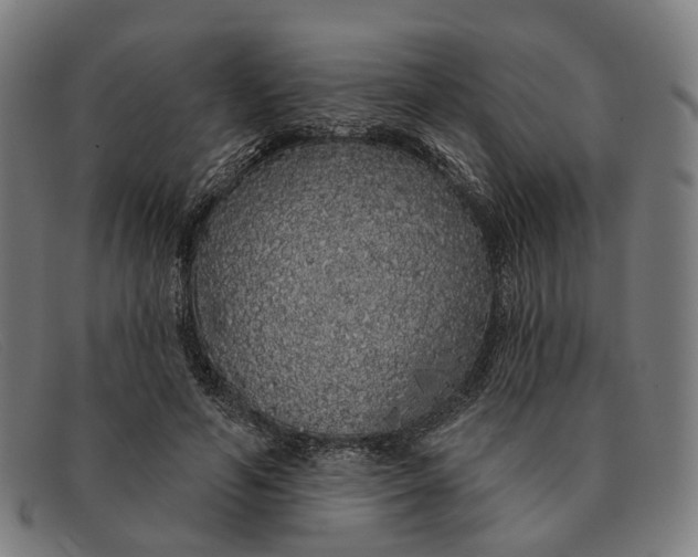 X0000091330594200708311438
