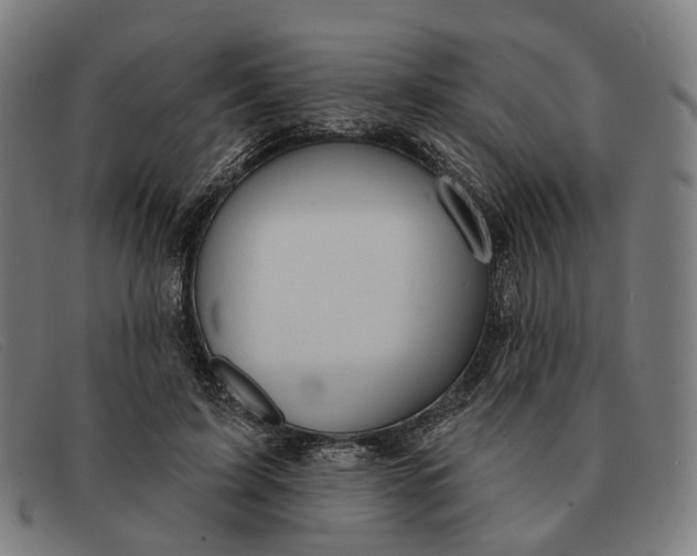 X0000091330595200708311438