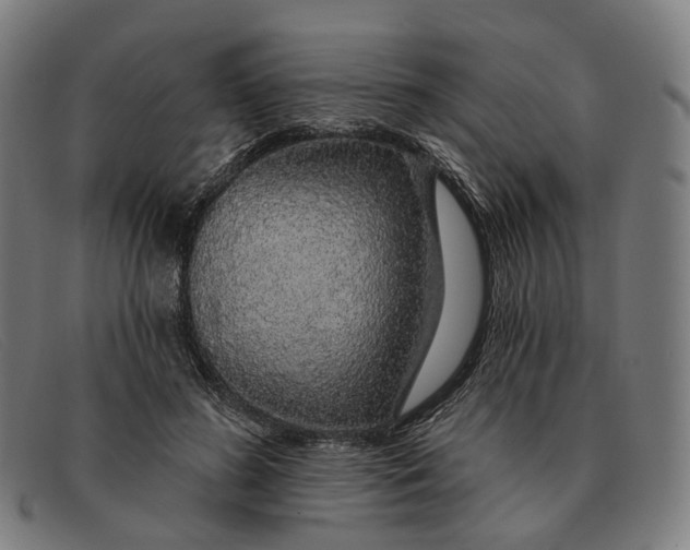 X0000091330596200708311438