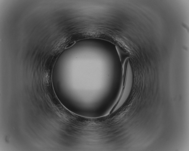X0000091330597200708311438