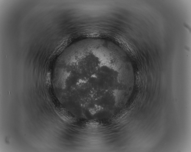 X0000091330598200708311438