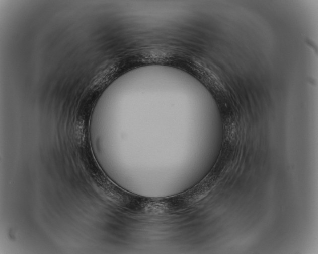 X0000091330599200708311438