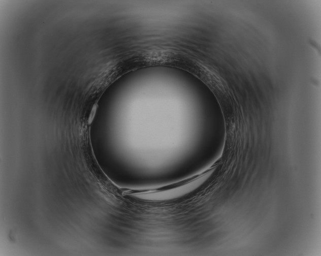 X0000091330601200708311438