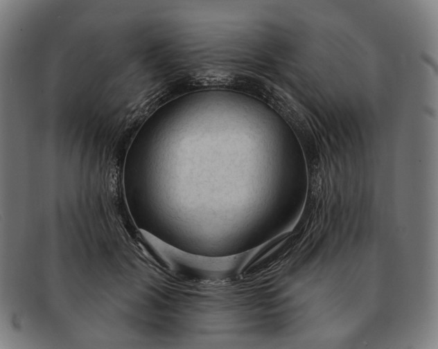 X0000091330604200708311438