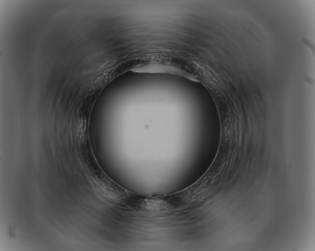 X0000091330605200708311438