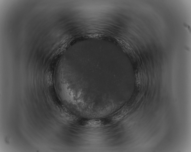X0000091330606200708311438