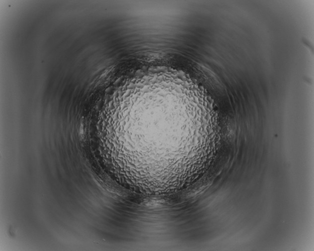 X0000091330607200708311438