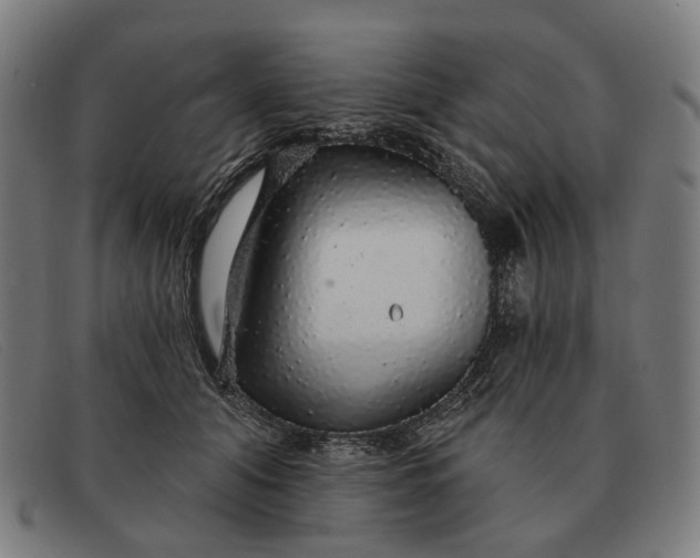 X0000091330608200708311438