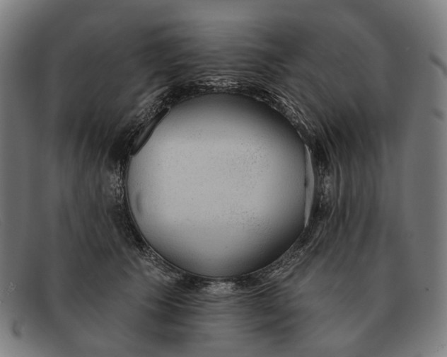 X0000091330609200708311438