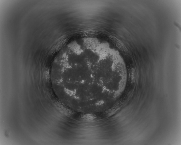 X0000091330610200708311438