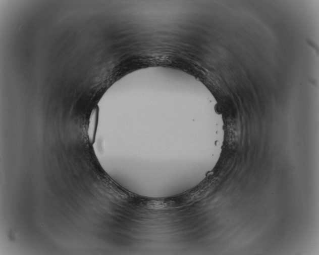 X0000091330613200708311438