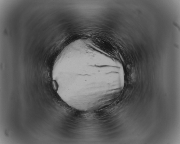 X0000091330615200708311438