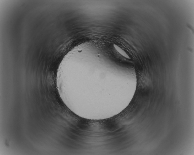 X0000091330616200708311438