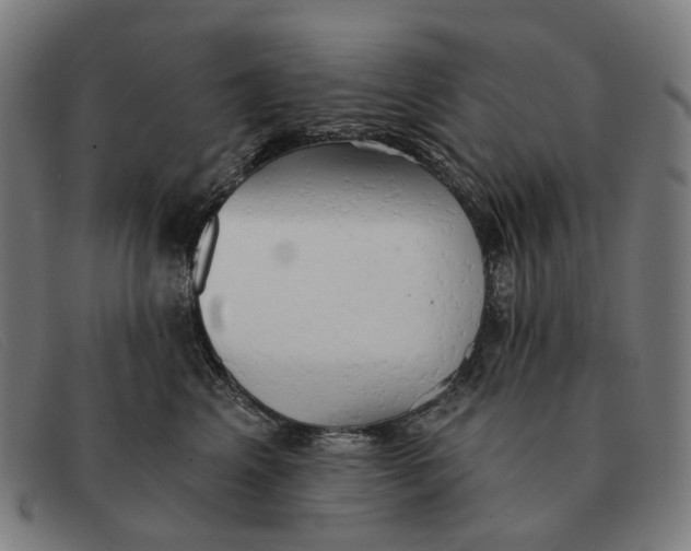 X0000091330617200708311438