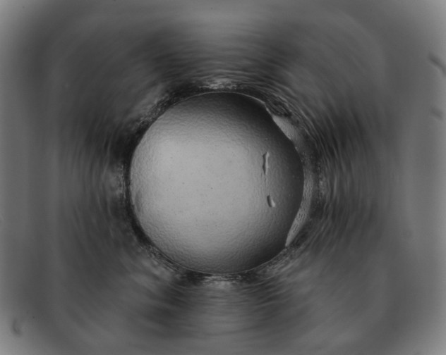 X0000091330620200708311438