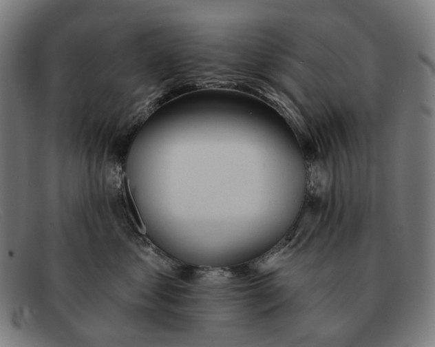 X0000091330621200708311438