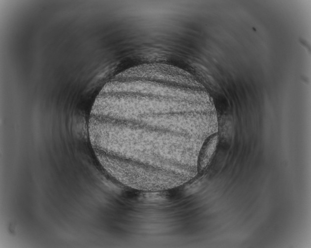X0000091330622200708311438