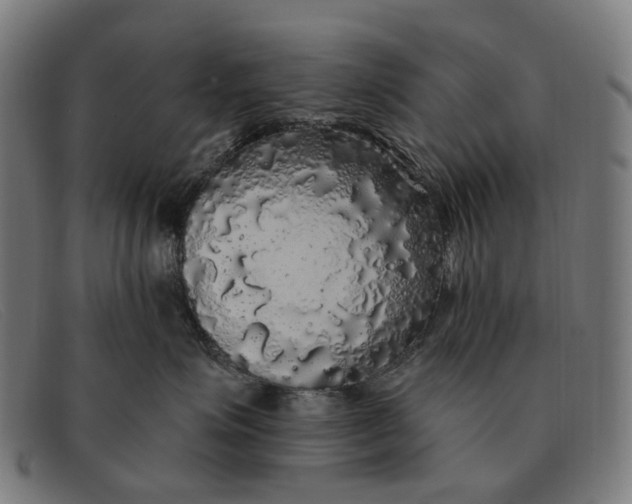 X0000091330623200708311438