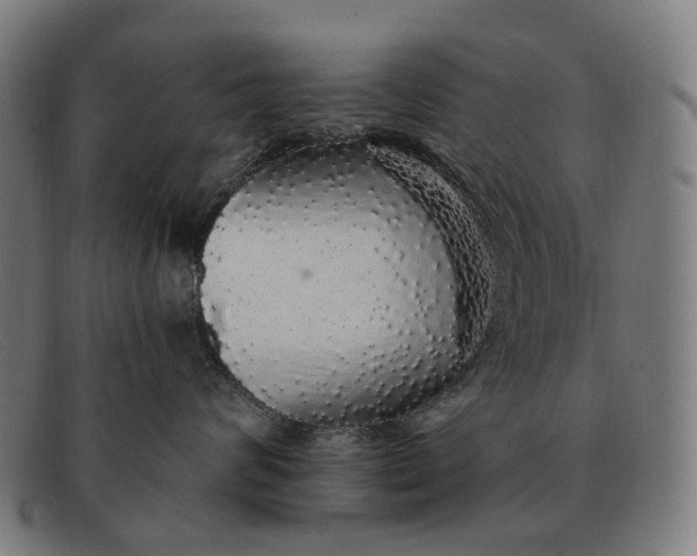 X0000091330624200708311438
