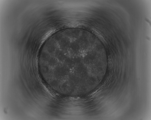 X0000091330626200708311437