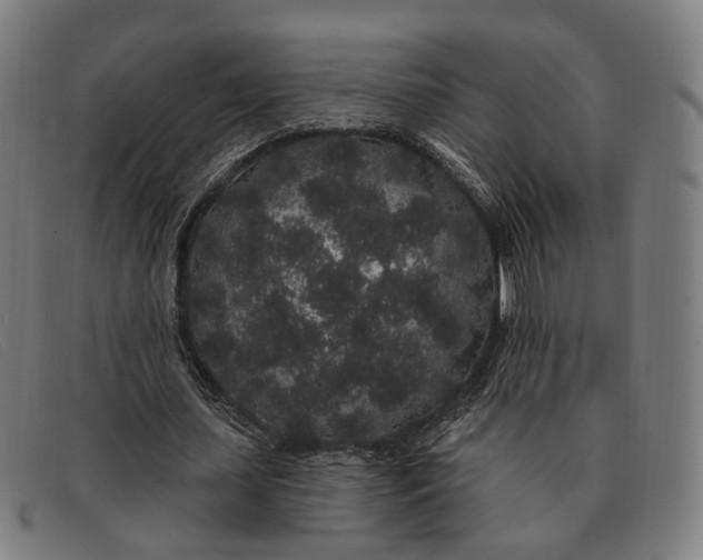 X0000091330627200708311437