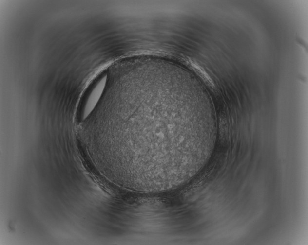X0000091330628200708311437