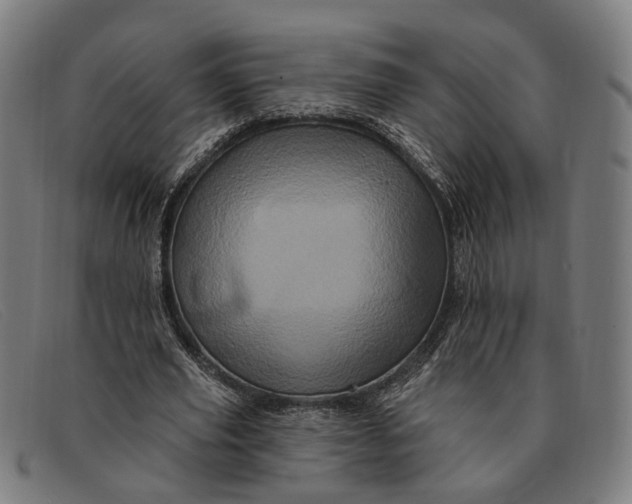 X0000091330629200708311437