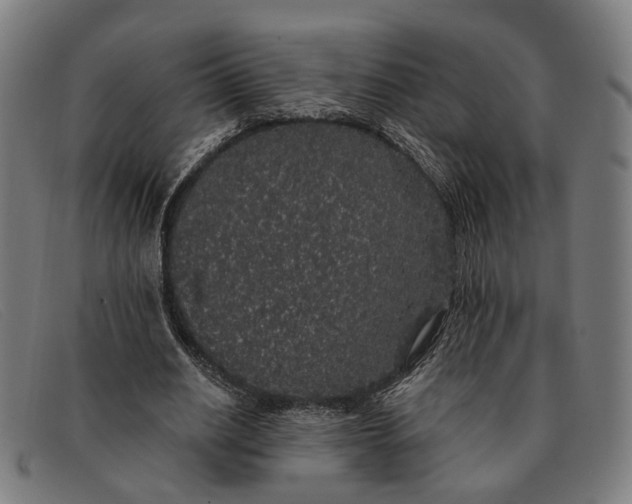X0000091330630200708311437